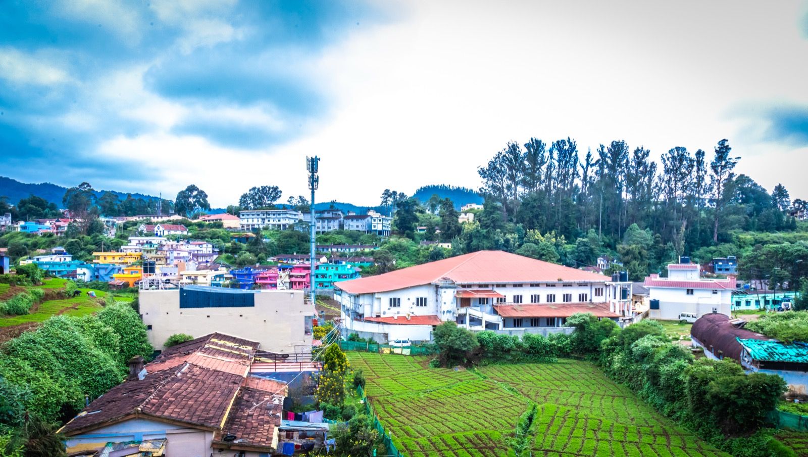 Rolling green hills and tea country around Ooty in the Nilgiris