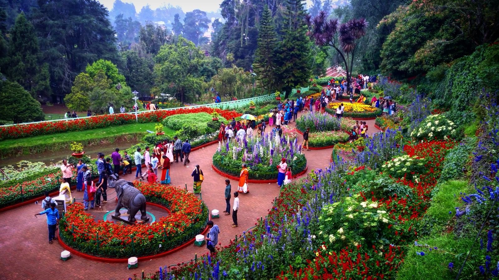 Terraced lawns and flowerbeds at the Government Botanical Gardens, Ooty