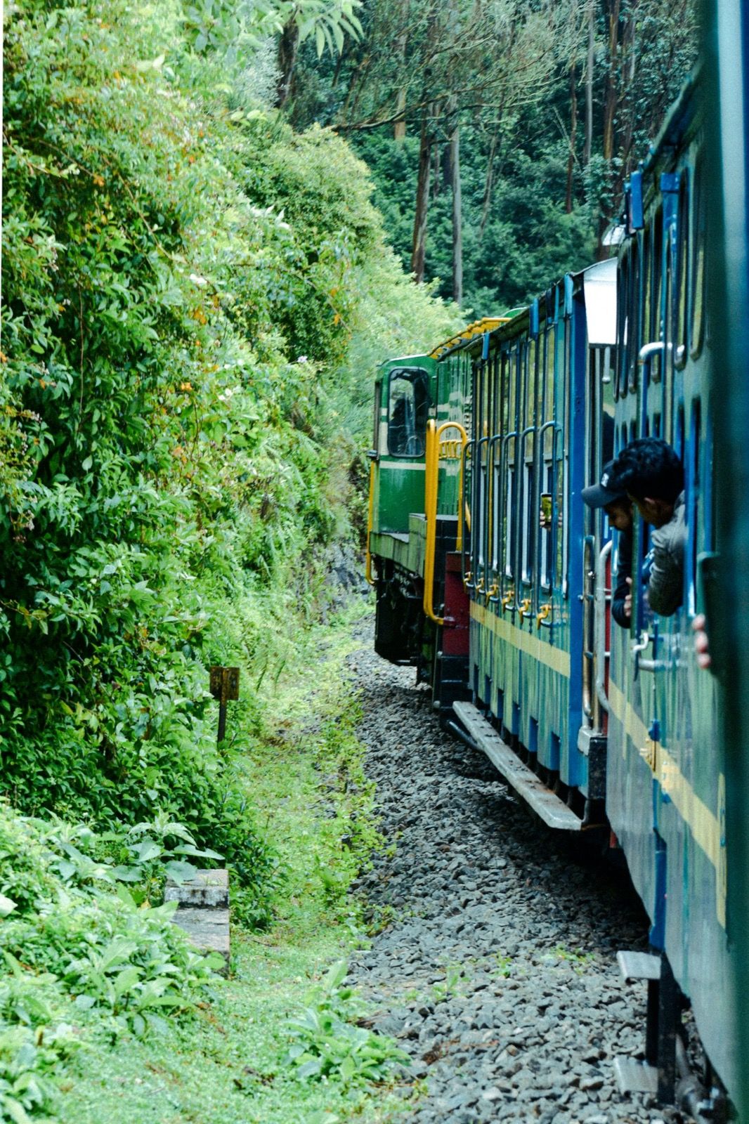 The Nilgiri Mountain Railway threading through green forest near Ooty