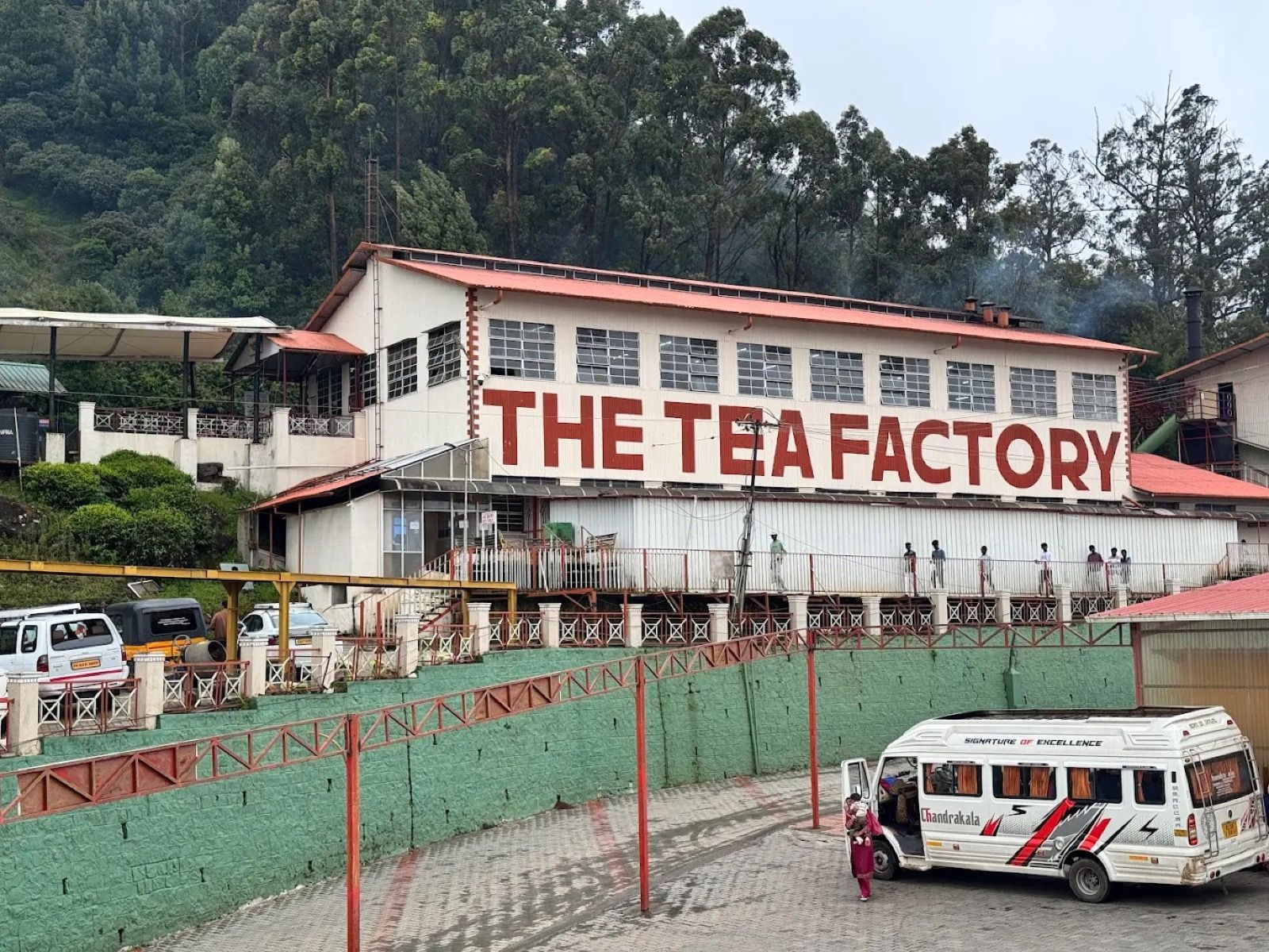 At the Doddabetta Tea Factory